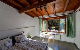 Rustico Al Sole - Just Renewed 1Bedroom Home In Ronco Sopra Ascona